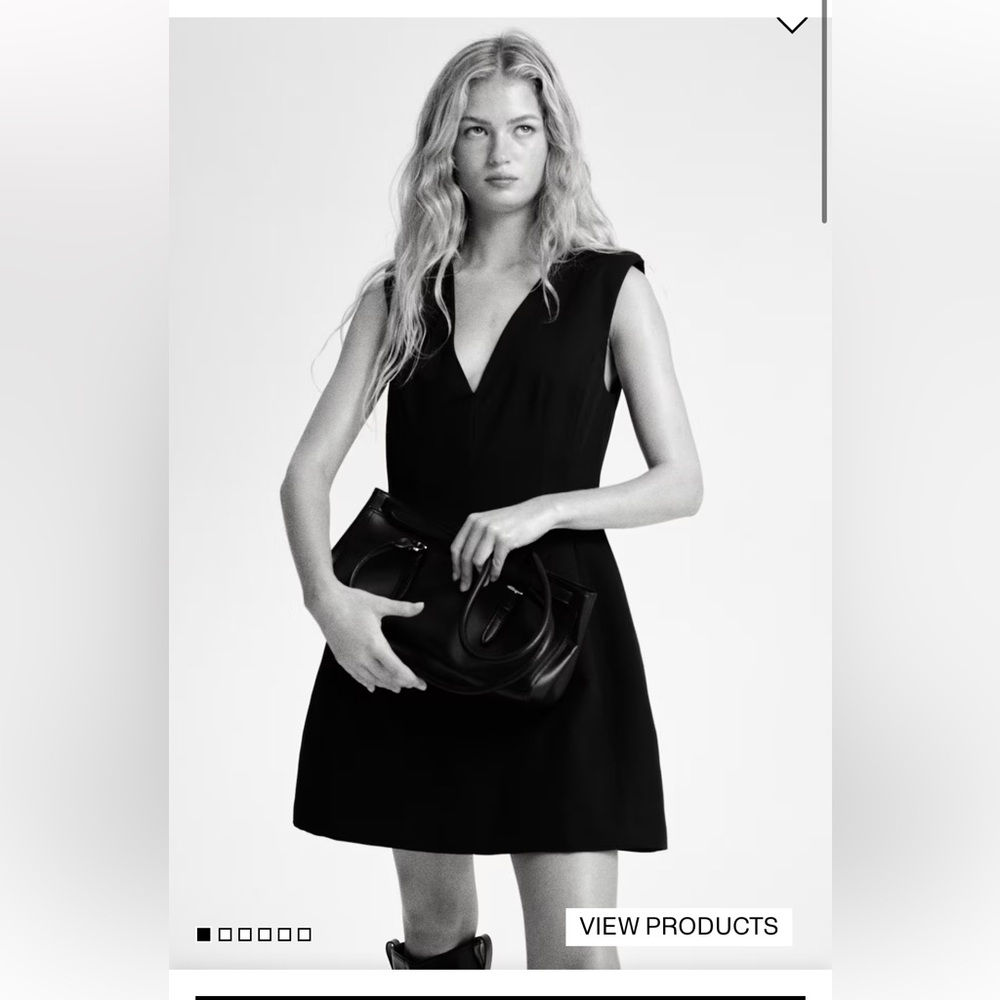 NWOT H&M V Neck Structured Dress